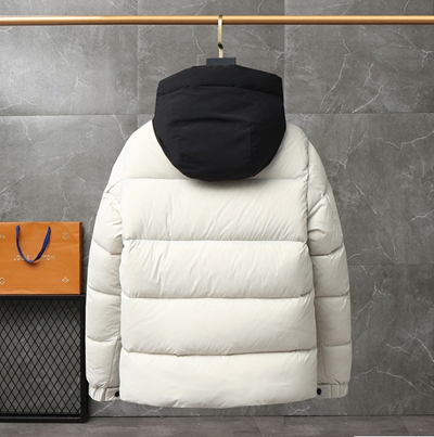 ハイクオリティダウンジャケット背面デザイン